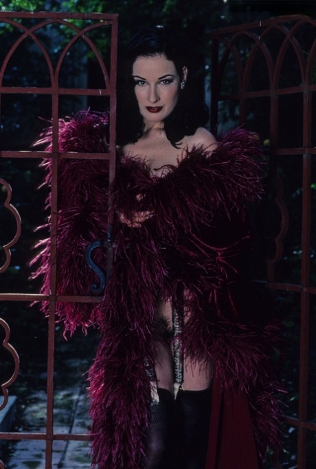 Dita von Teese hd skuespillerinne bilder