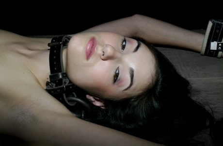 Sasha Grey sexmodell samling